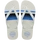 White/White/Blue