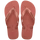 CANYON CLAY