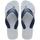 Ice Grey