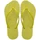 Wild Lime