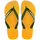Yellow Pop