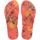 TROPICAL CORAL