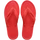 TROPICAL CORAL