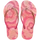 BLOSSOM/PINK FLUX