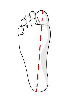 Step 2