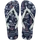 Navy/Navy/White